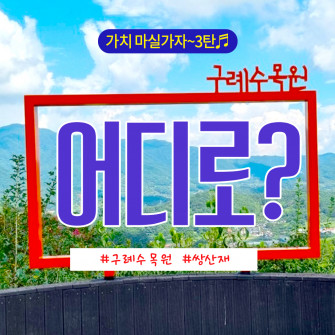 [10월 19일] 구례수목원, 쌍산재 세번째 트레킹