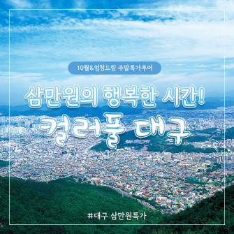 [10월28일] 엄청드림 주말특가투어 - 대구