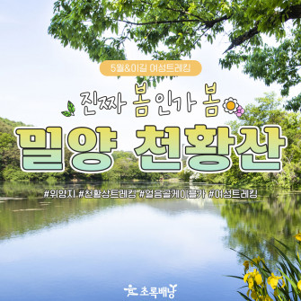 [5월 20일] 진짜 봄인가봄 밀양 천황산