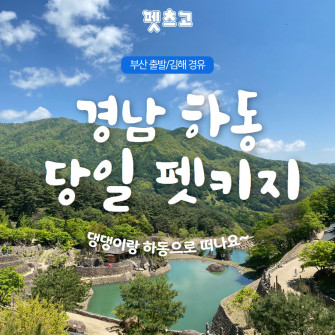 [펫츠고] 경남 하동 당일 펫키지