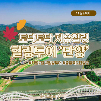 [11월&여기] 가을속으로 힐링투어 단양