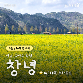 [4월 축제투어] 창녕 / 4월 21일 (화)