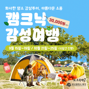 화사한 명소 감성투어, 아름다운 소풍 캠크닉 감성여행
